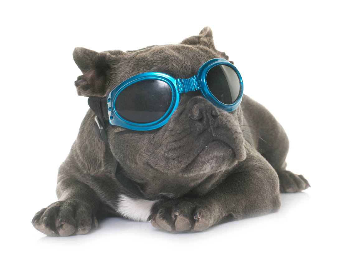 Illustrasjonsfoto (Colourbox)